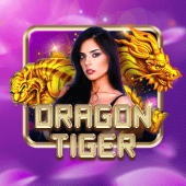 Dragon Tiger - Nustar Casino APK Download Apk