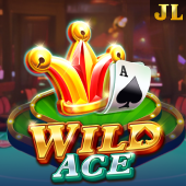 Wild Ace - Nustar Casino APK